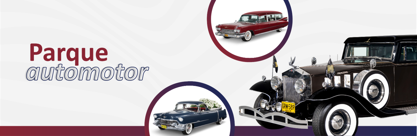 Parque Automotor
